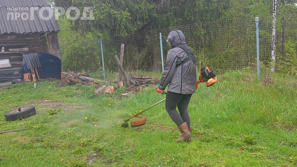 Леска — прошлый век: что используют вместо неё в Европе для покоса травы — больше никаких камней в лицо