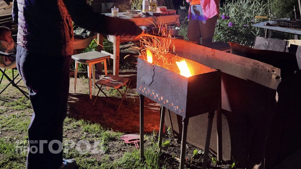 Забудьте про мангал в майские праздники: власти вводят строгий запрет на разведение огня на участках