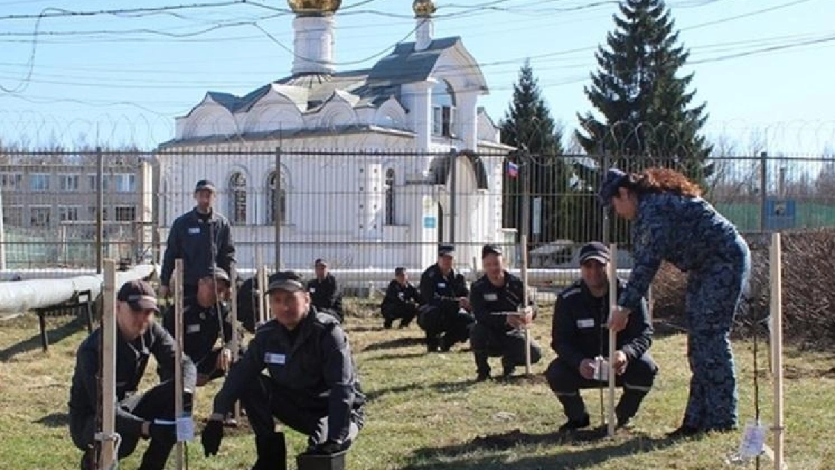 Заключённые ярославской колонии высадили 15 яблонь в честь ветеранов