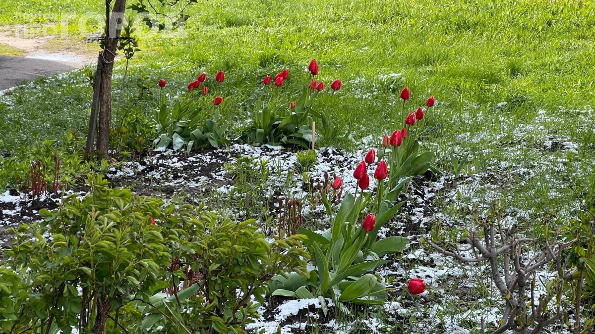 Май 2026 года удивит всех: холод, ливни и ураганный ветер — синоптики предупреждают о небывалых погодных аномалиях