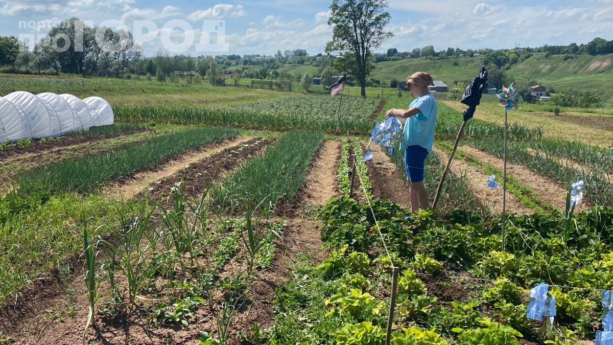 Зараза в тени грядок: что подстерегает дачников после зимы — и это не сорняки