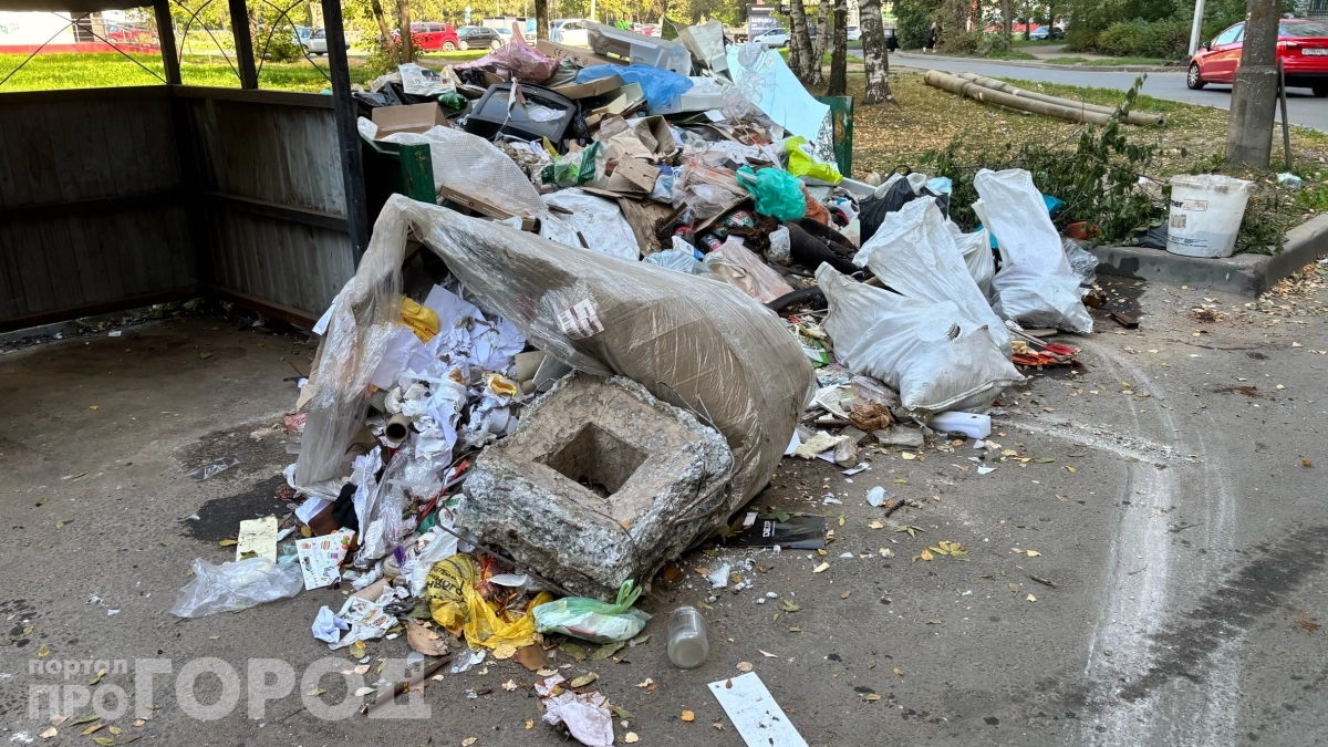 3 000 рублей за выброс мусора: эксперт по ЖКХ предупредил о неожиданном штрафе для жителей