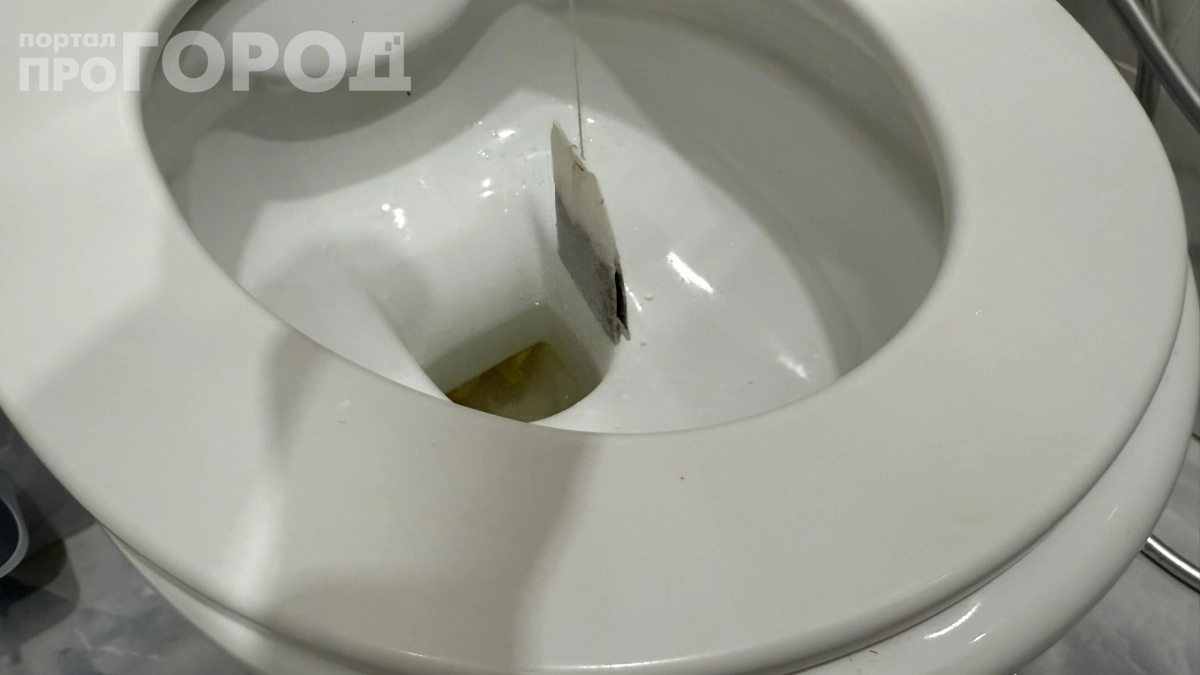 Уходите из дома — кидайте чайный пакетик в унитаз: секрет горничных для идеально чистого туалета
