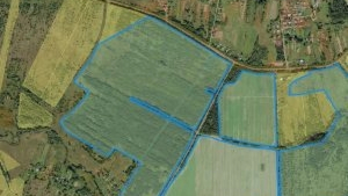 Не пахал, не чистил, но ответит: арендатору запущенных полей в Ярославской области грозит штраф до 200 тысяч