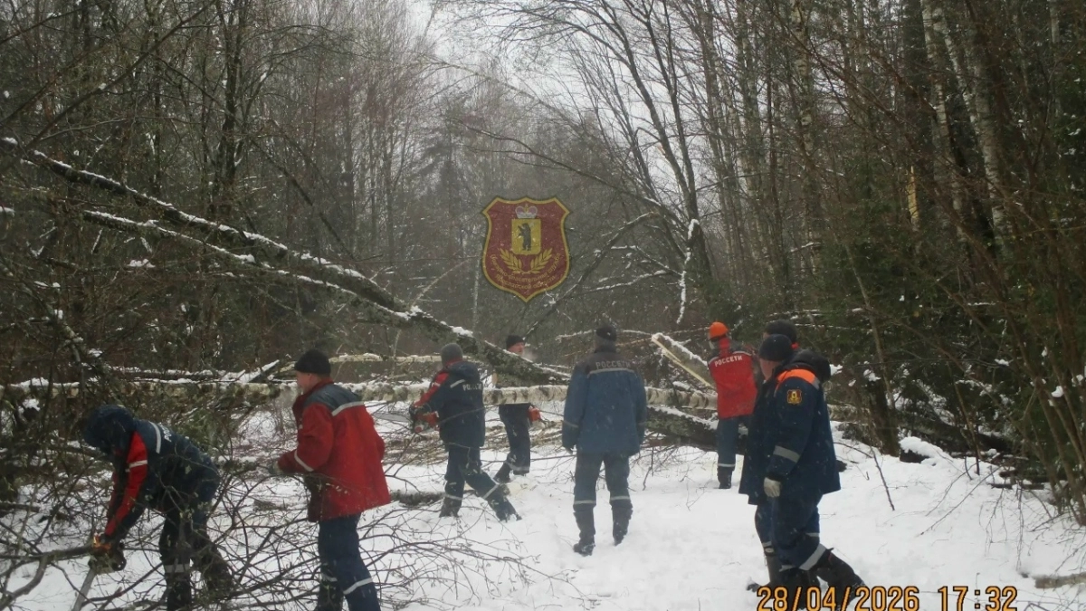  Спасатели расчистили дороги и вернули свет в деревни Переславского района 