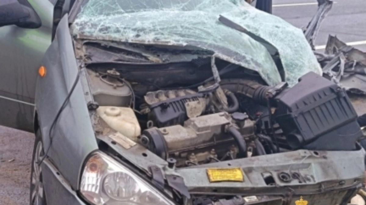 Смертельное ДТП, пожар в жилом доме и изменения в работе транспорта: главные новости за 29 апреля