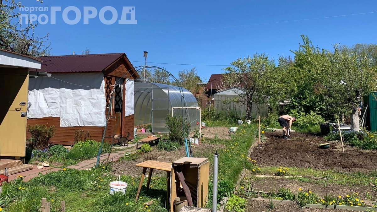 Скажите сорнякам «пока-пока»: 5 хитростей, которые избавят от прополки навсегда 