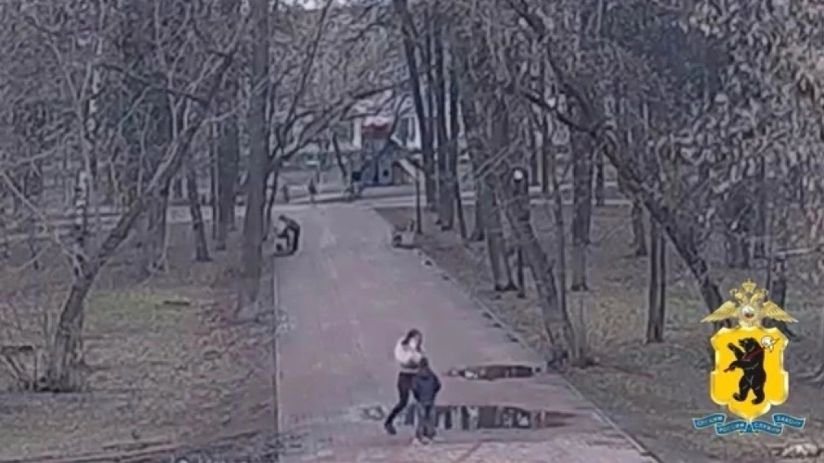 "Кот" вывел на след: как пароль помог задержать юного курьера мошенников в Ярославле