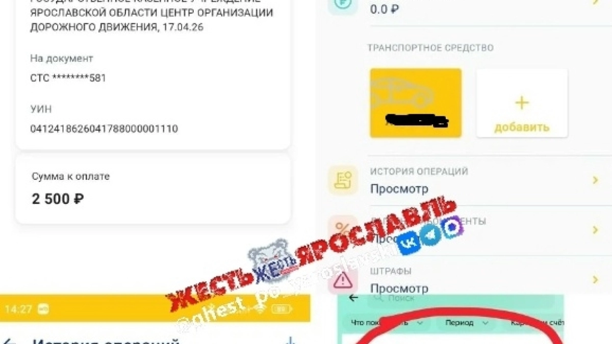 Оплатила парковку — всё равно пришел штраф: что скрыла водительница из Ярославля