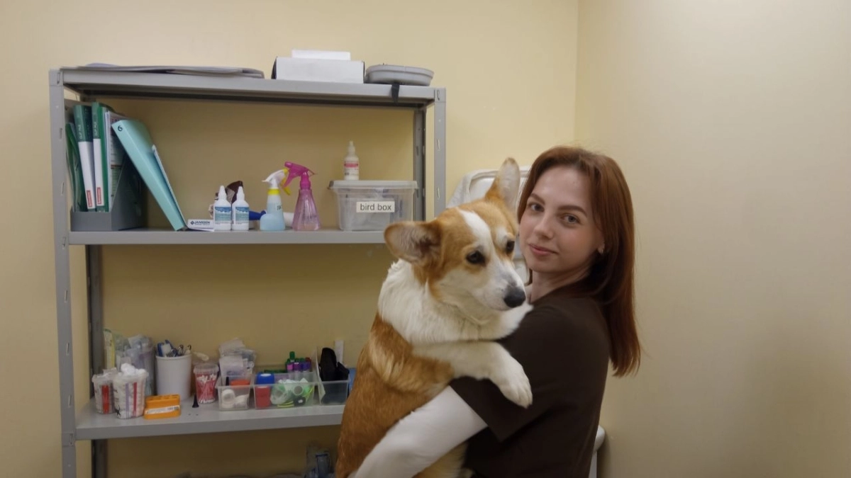 Ярославский ветеринар о своей работе: «Одного из клиентов обезьяна ревновала к жене»