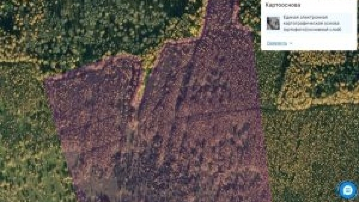 Запустил поле — пожнёт штраф: землевладелец из-под Ярославля довёл участок до суда
