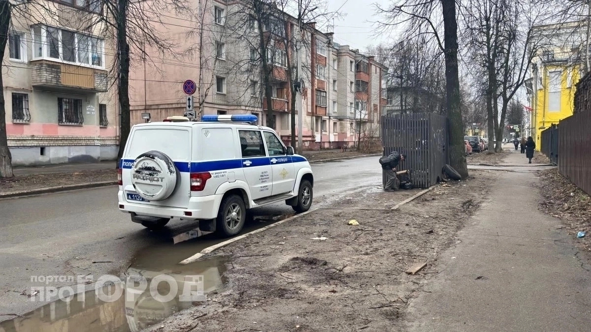 В Тутаевском районе сын избил 84‑летнюю мать тростью
