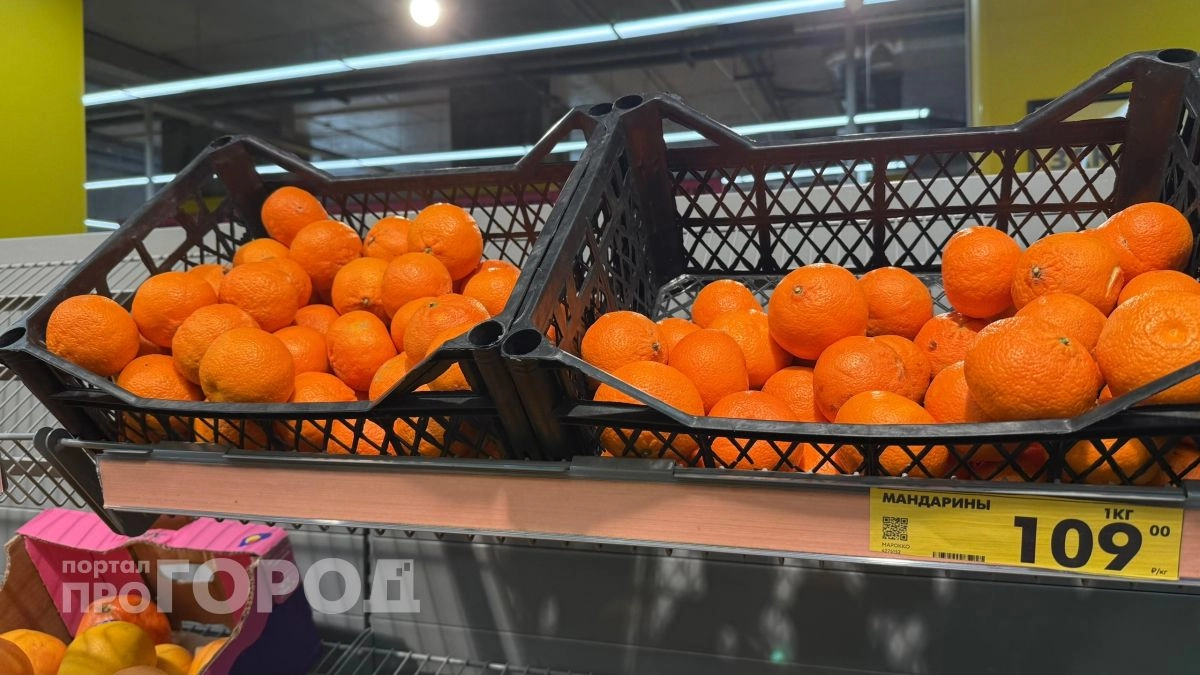 1000 рублей и два пакета продуктов: Чижик наполнился новинками, а вся семья радуется "богатому" холодильнику