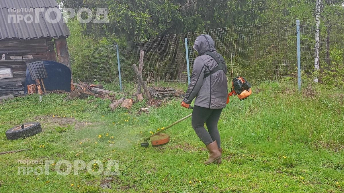 Больше никакой возни с леской: как я избавился от камней и мусора при покосе травы с помощью новой насадки