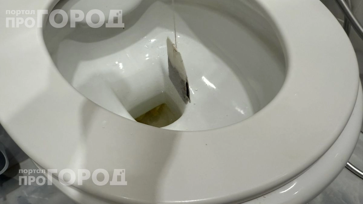 Хватит тратить деньги на химию: достаточно бросить чайный пакетик в унитаз перед уходом и забыть о налете