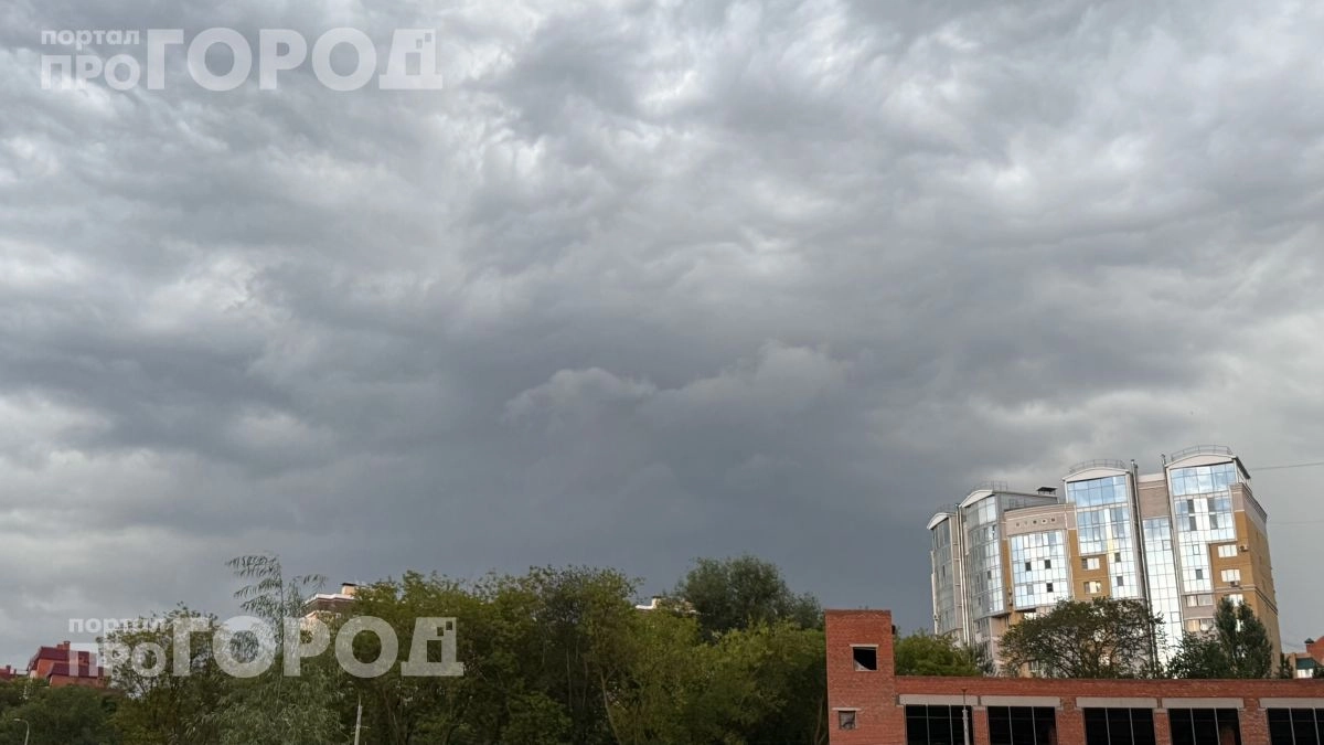 Готовьтесь к климатическому перевороту: синоптики раскрыли регионы, где лето 2026 года станет экстремальным