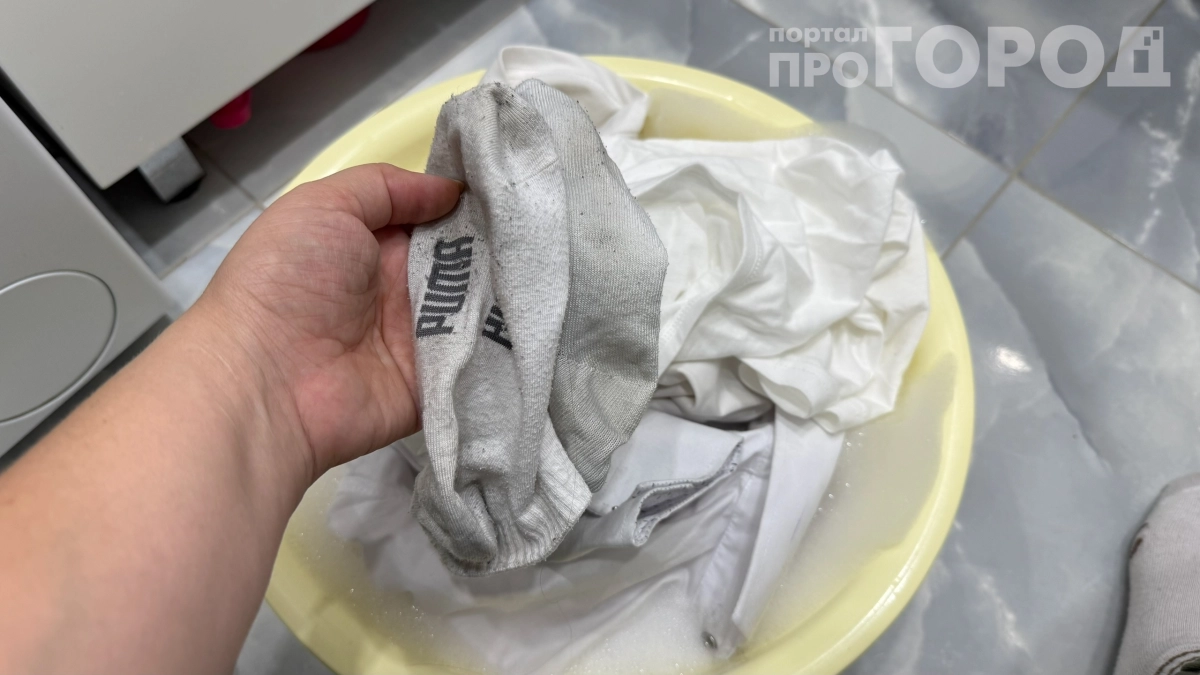 Грязные вещи больше не будут вонять из корзины: что туда кладут опытные домохозяйки