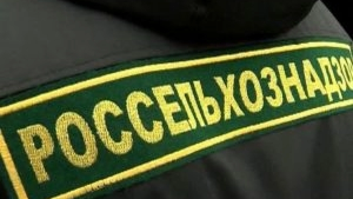 В Даниловском районе лошадь "вывела" фермера на предостережение Россельхознадзора
