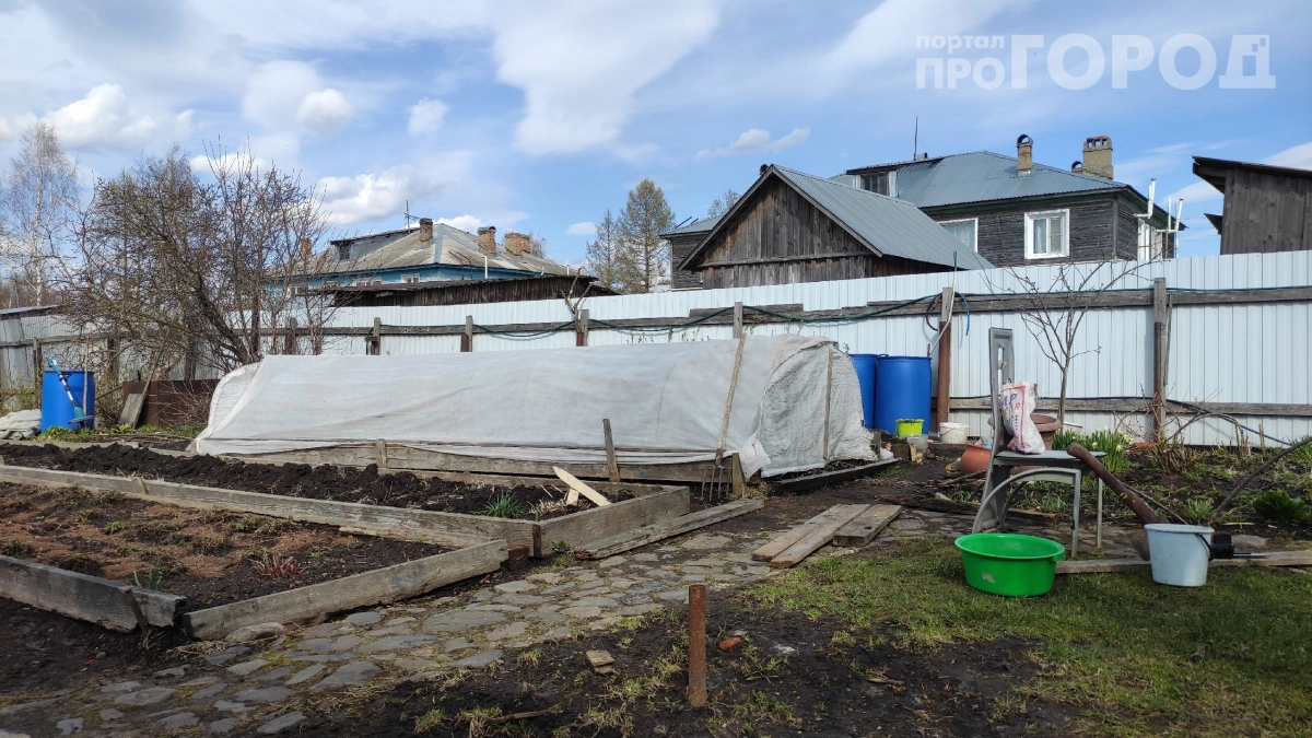 Экспресс‑подготовка грядок в мае: методы, которые сэкономят вам неделю — как успеть посадить всё вовремя