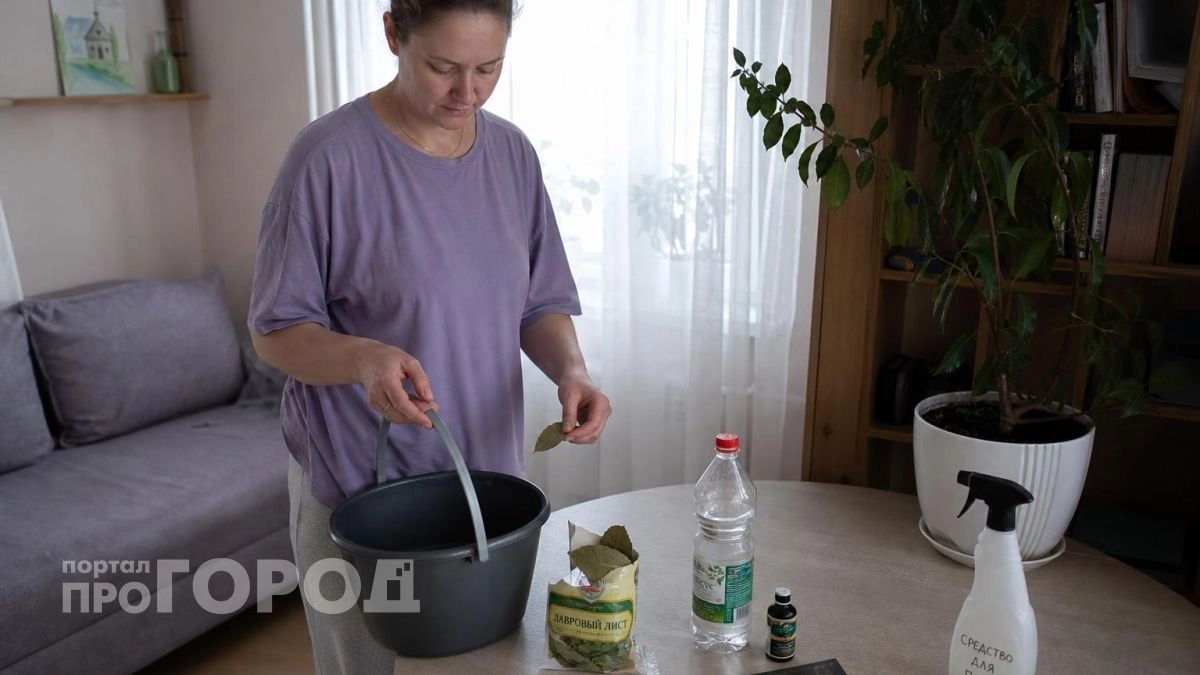 Перед уходом из дома оставляю в унитазе лавровый лист: этот простой лайфхак горничной избавил от запаха