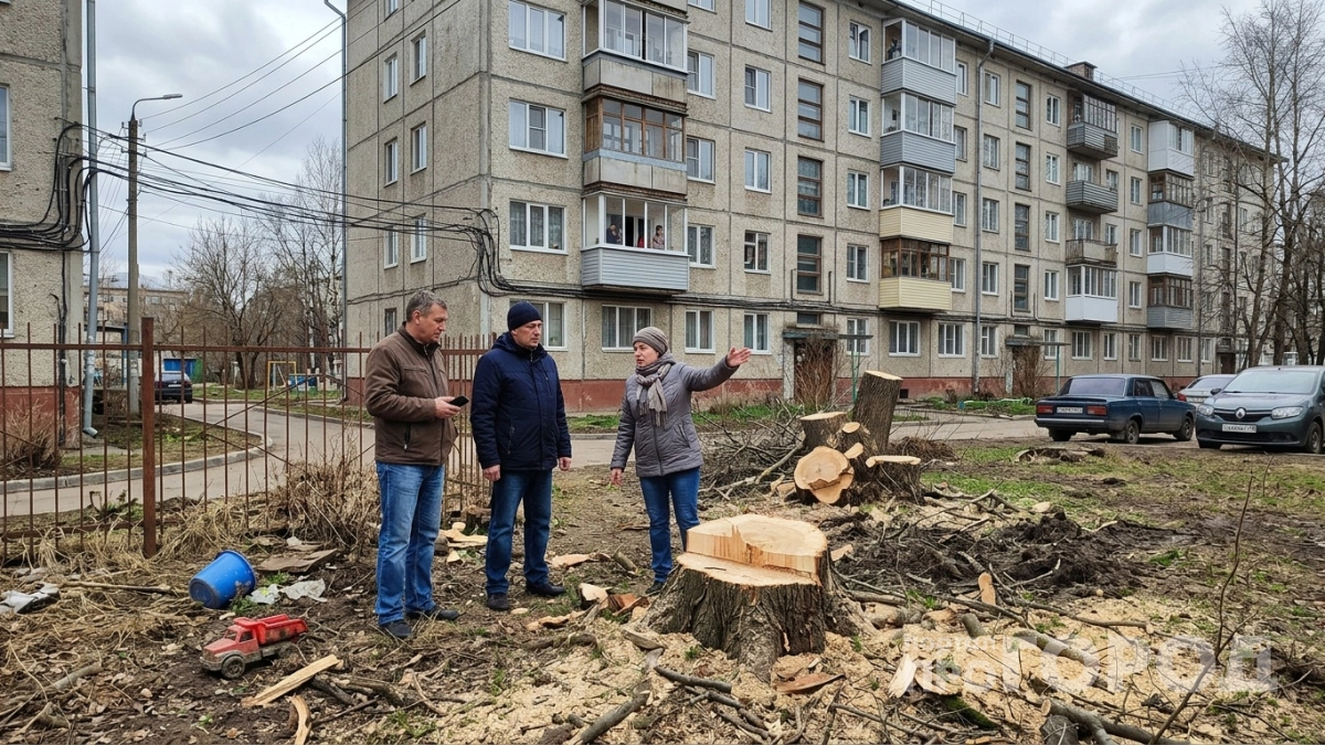 Хватит уже мазать пни селитрой и ждать год: знающие люди убирают их за 3 минуты по методу Циолковского