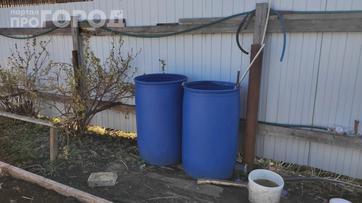Одна бочка — и все грядки довольны: какое удобрение добавить в воду в мае, чтобы урожай удивил соседей