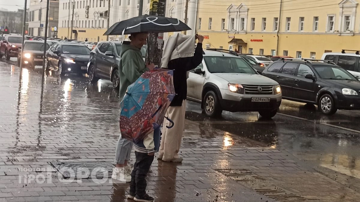 Непогода обрушится на Ярославскую область 14 мая: гроза и шквалистый ветер накроют регион