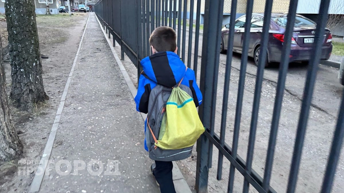 Отправлять ли ребёнка в школу при атаке дронов: в Ярославле разъяснили порядок посещения школ при угрозе БПЛА