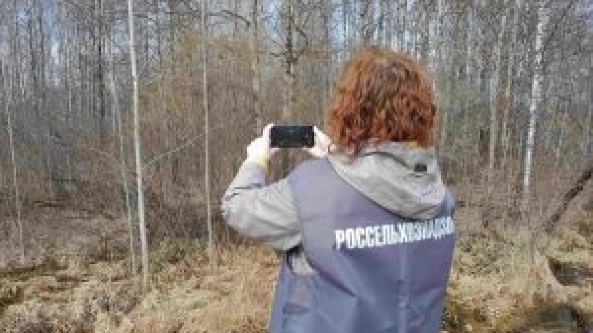 В Ярославской области нашли 32 гектара, которые никто не использует