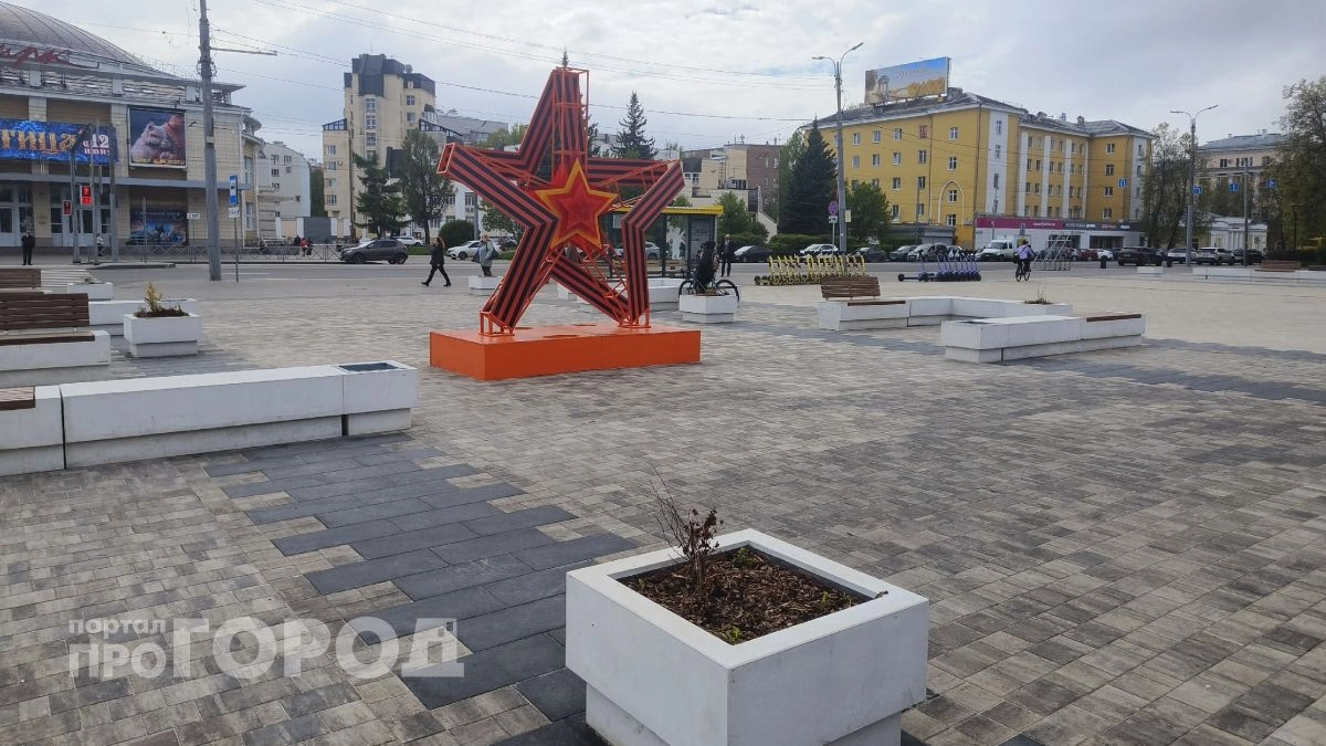 Как выглядит «сад с экраном» на площади Труда: вместо зелени — сухие кусты