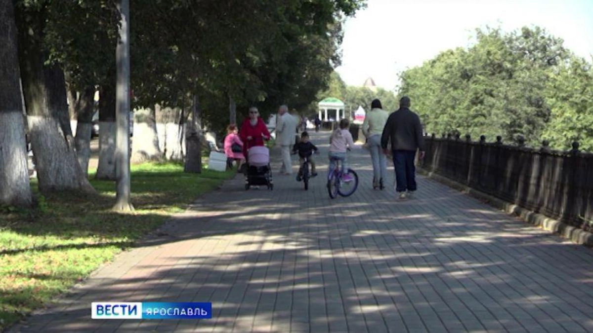 В Ярославской области 135 самозанятых застраховались от болезни с начала эксперимента