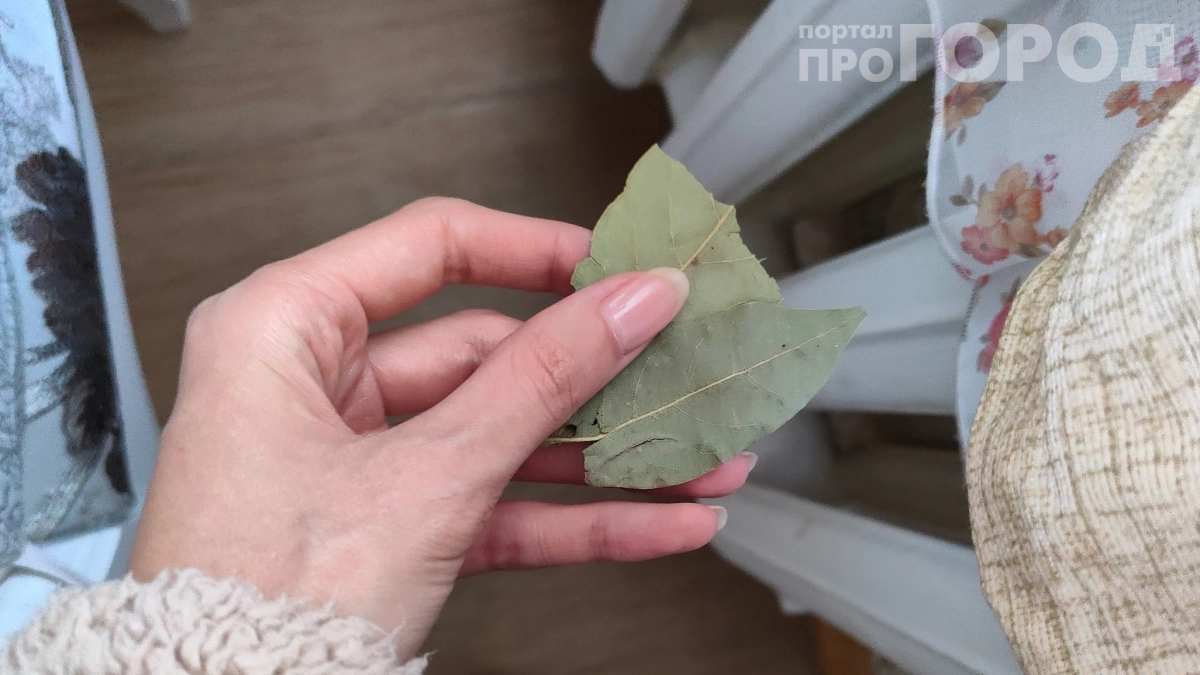 Положите лавровый лист в карман: секрет долголетия, который знали ещё в Древней Греции