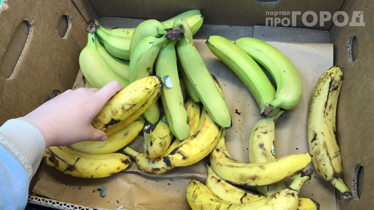 Всю жизнь делали неправильно: банановая кожура и сода могут погубить растения — вот почему