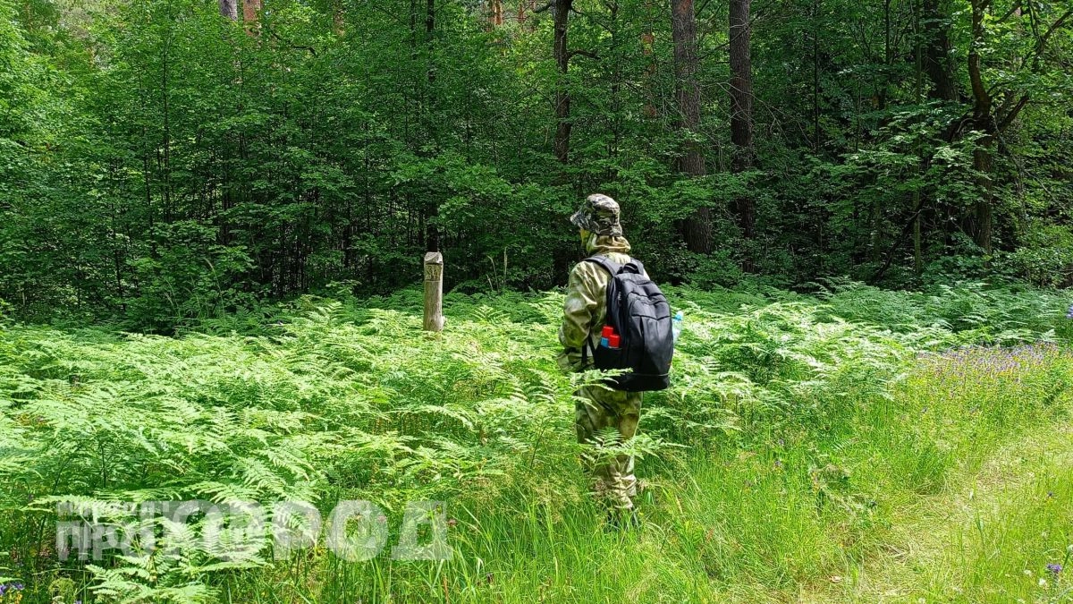 Возьмите эти сладости в лес: спасатели объяснили, как обычный перекус может спасти жизнь в критической ситуации