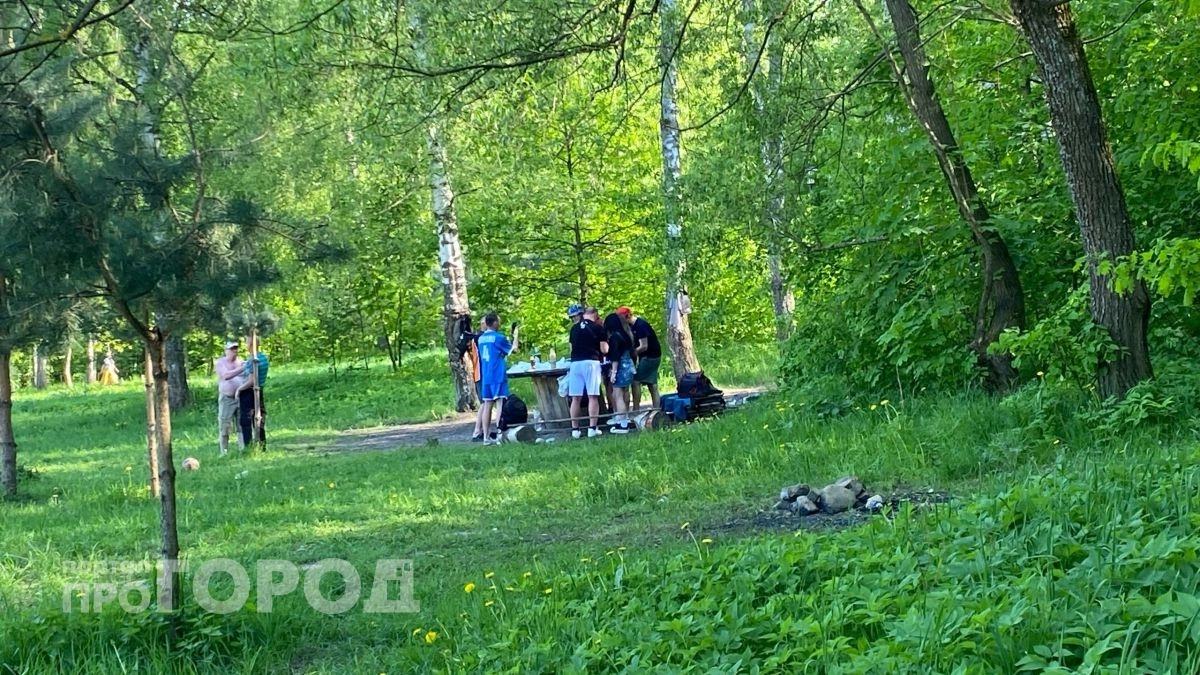Леса Ярославской области диктуют правила: костёр теперь под запретом