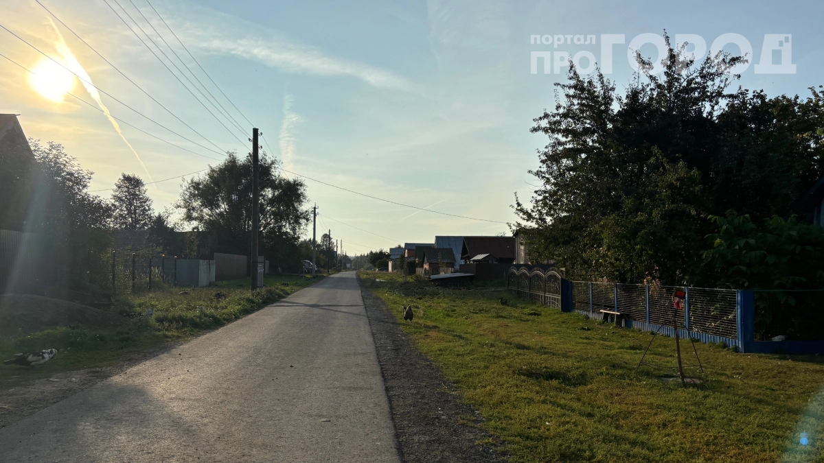 Раньше можно было, теперь — штраф: что запретят на просёлочных дорогах с 1 июня