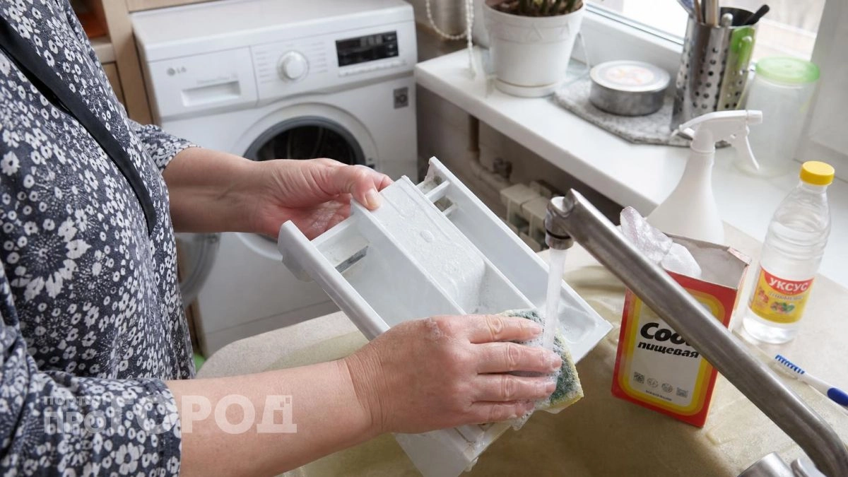 Стыдно было за грязный отсек стиральной машины: теперь отбеливаю его за копейки до состояния нового пластика