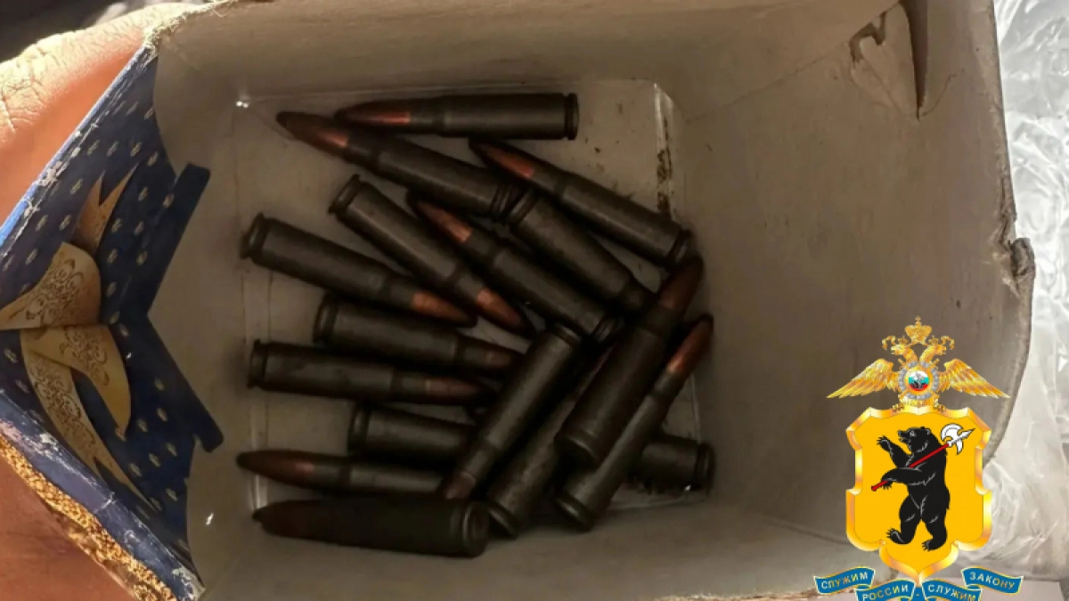 В Ярославской области у сельского жителя нашли порох и боеприпасы