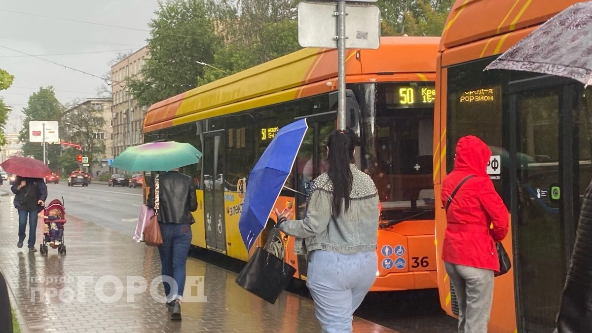 Порывы ветра до 15 м/с ударят по Ярославской области днем 26 мая