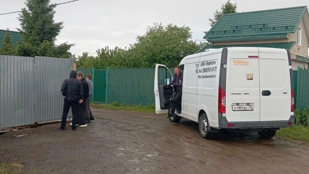 Женщину атаковала свора собак в Кузнечихе