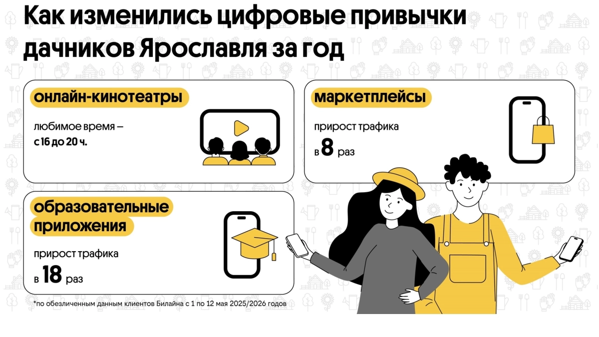 Шопинг у грядки: трафик на маркетплейсы на дачах под Ярославлем вырос в 8 раз – Билайн