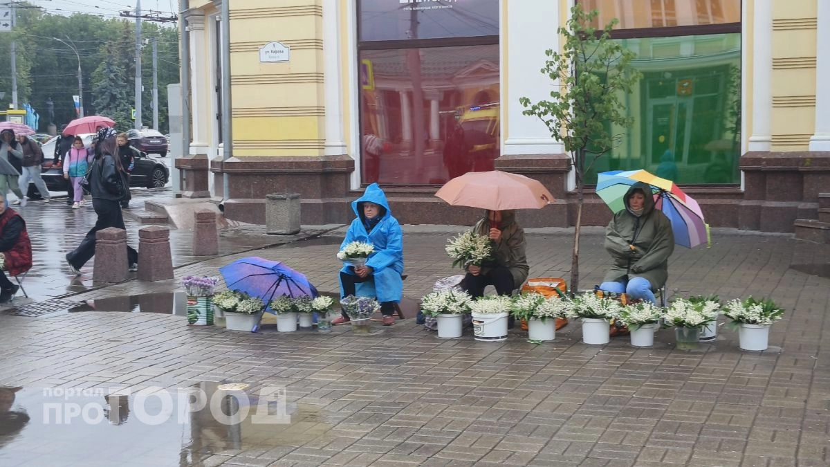  Спор из‑за ландышей на Кирова: бабушки торгуют краснокнижными цветами или «сорняком» с грядок?