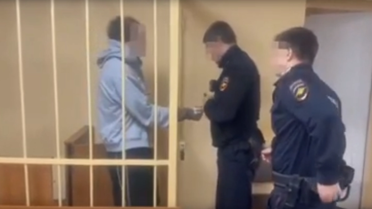 В Ярославле под стражу взяли 21‑летнего курьера из Ноябрьска, укравшего 1,2 млн рублей у 81‑летней женщины