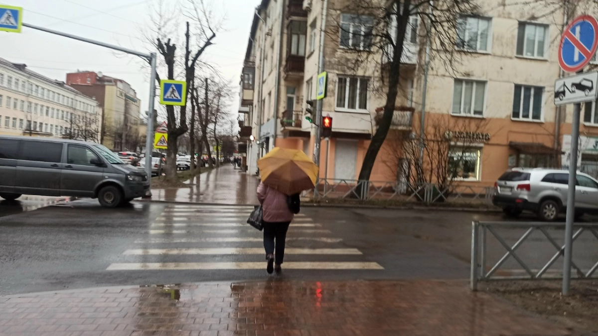 Гроза, ливень и град надвигаются на Ярославскую область