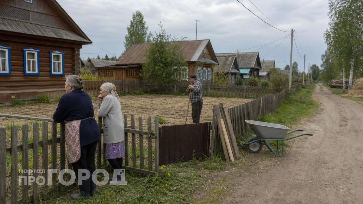 Заглянул в деревенские огороды и понял правду: почему сельские жители массово отказываются от грядок