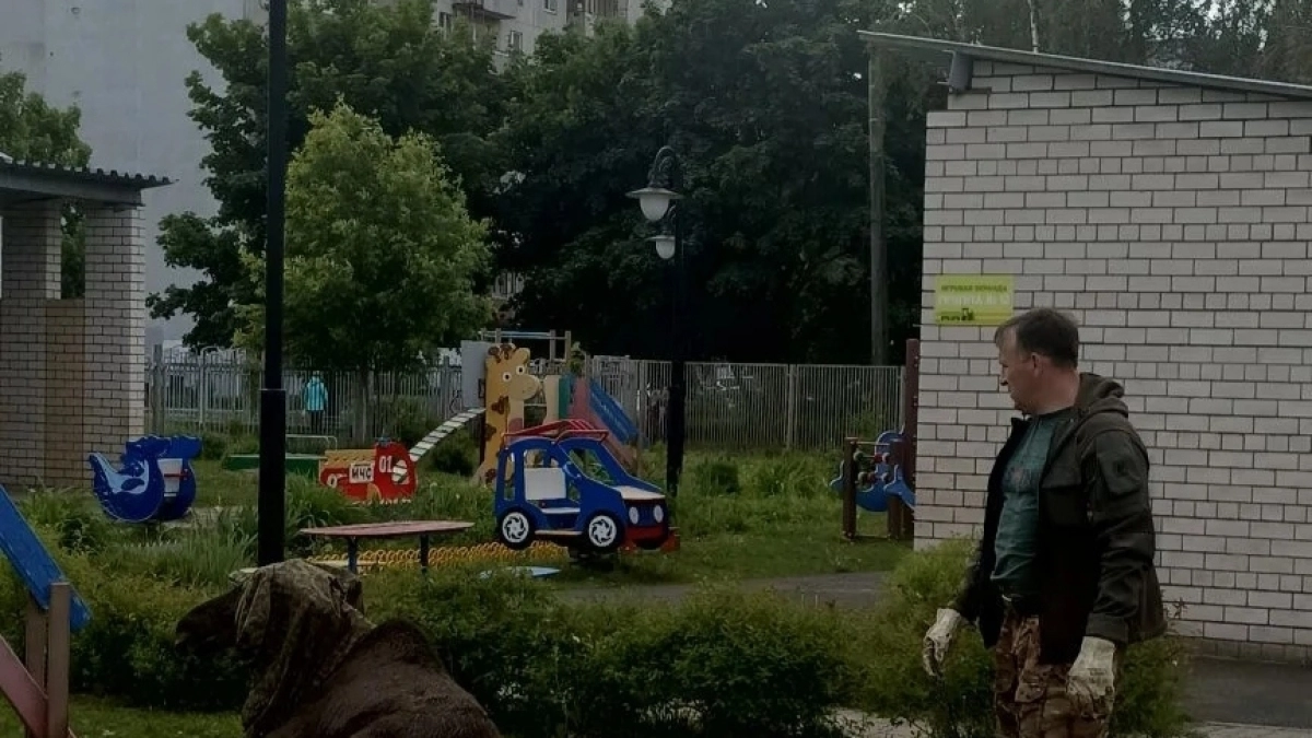 Дикий лось забежал в детский сад в Ярославле
