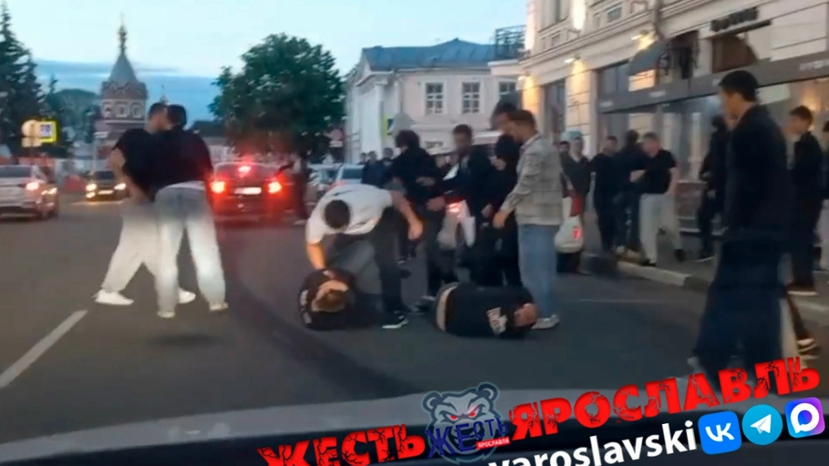 Ночная драка после Дня города в Ярославле дошла до Бастрыкина