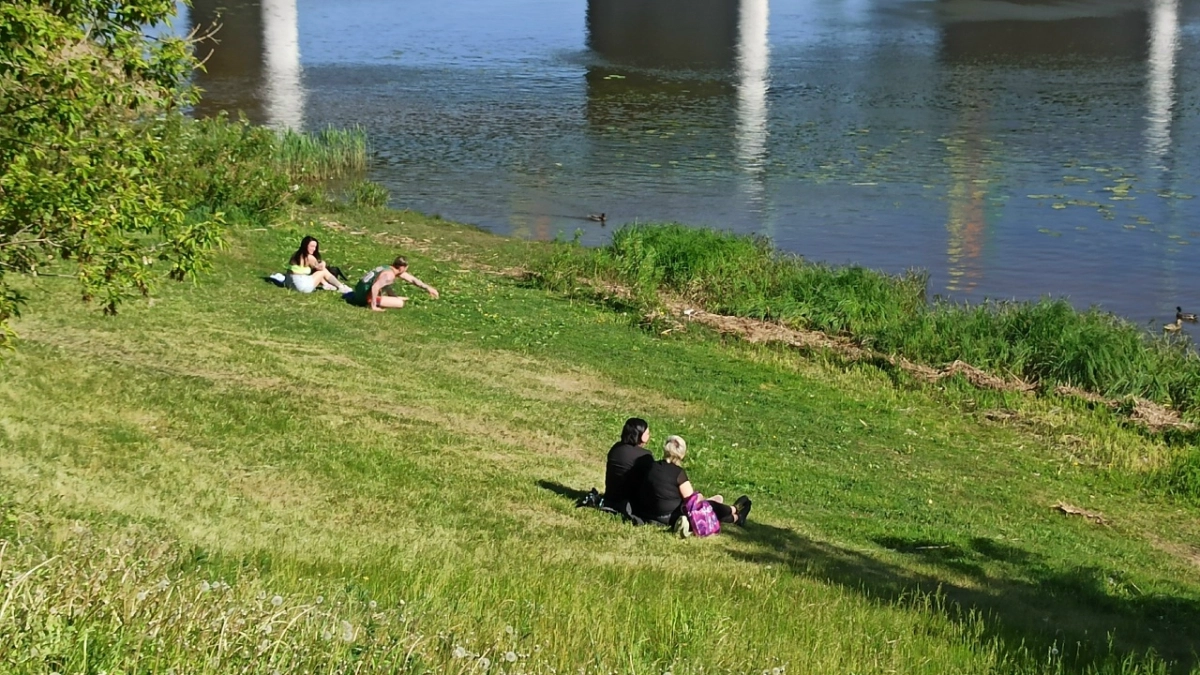 В Гаврилов-Яме временно запретили купаться в Которосли