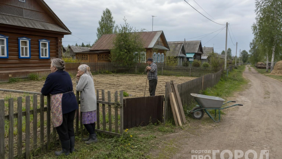 Как в старинных сёлах на Урале защищали дома от мышей и крыс: мудрость предков работает до сих пор