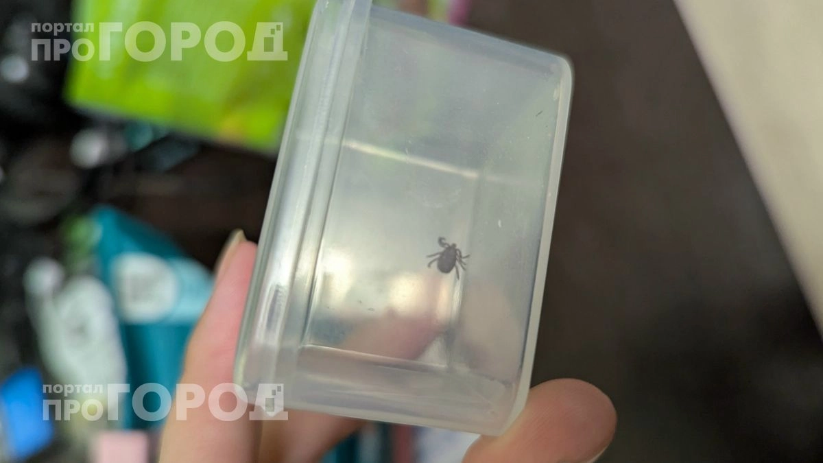 Больше никакой химии в лесу: нанесите эти 2 капли на свои кроссовки и забудьте про клещей на весь день